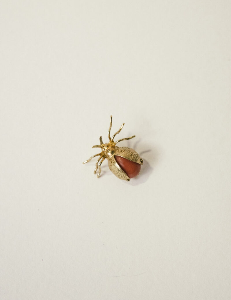 broche insecto