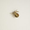 broche-vintage-oro-18k-coral-escarabajo (5) broche insecto